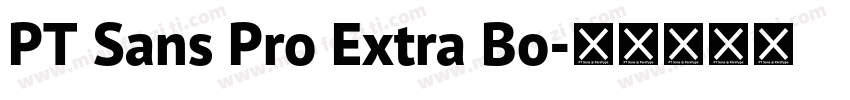 PT Sans Pro Extra Bo字体转换